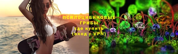 а пвп мука Алзамай