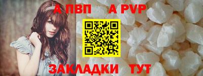 СК Новозыбков