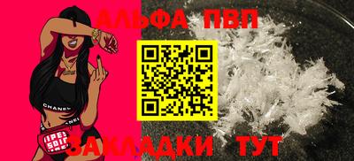 СК Новозыбков