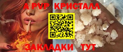 СК Новозыбков