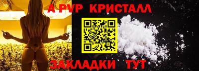 СК Новозыбков