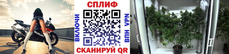 Каннабис Amnesia  Усинск 